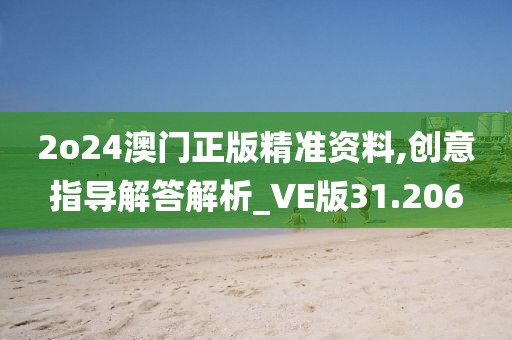 2o24澳门正版精准资料,创意指导解答解析_VE版31.206