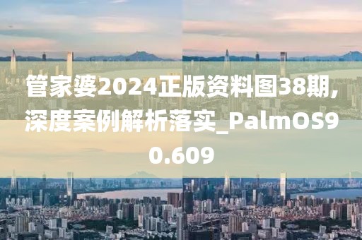 管家婆2024正版资料图38期,深度案例解析落实_PalmOS90.609