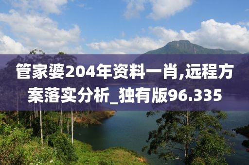 管家婆204年资料一肖,远程方案落实分析_独有版96.335