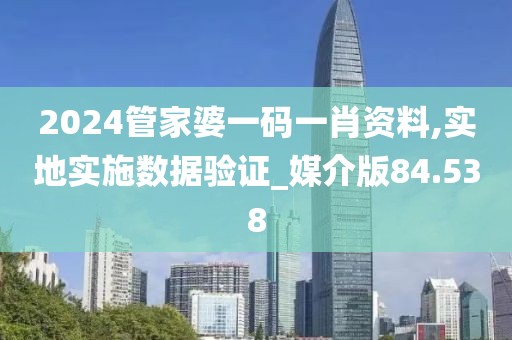 2024管家婆一码一肖资料,实地实施数据验证_媒介版84.538