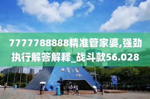 7777788888精准管家婆,强劲执行解答解释_战斗款56.028