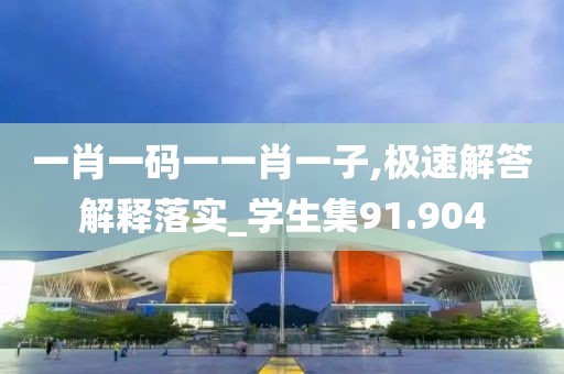 一肖一码一一肖一子,极速解答解释落实_学生集91.904