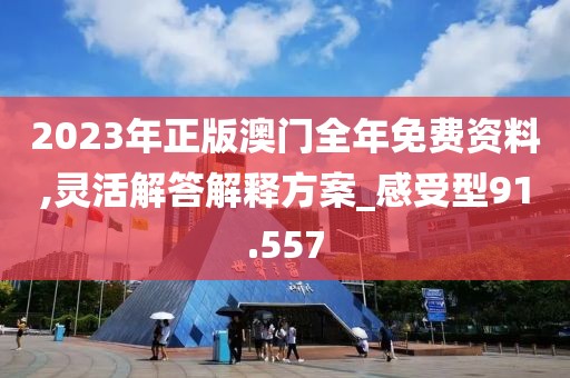 2023年正版澳门全年免费资料,灵活解答解释方案_感受型91.557