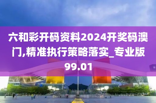 六和彩开码资料2024开奖码澳门,精准执行策略落实_专业版99.01
