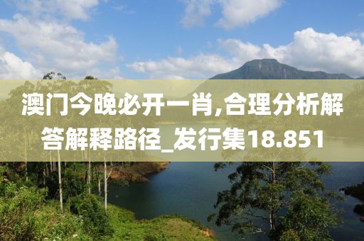 澳门今晚必开一肖,合理分析解答解释路径_发行集18.851
