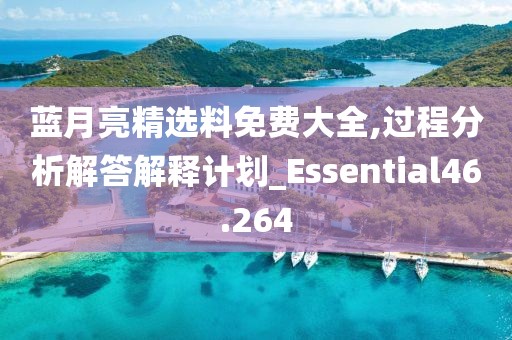 蓝月亮精选料免费大全,过程分析解答解释计划_Essential46.264