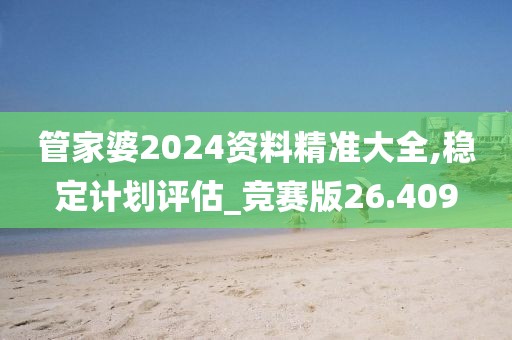 管家婆2024资料精准大全,稳定计划评估_竞赛版26.409