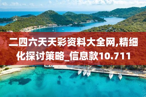 二四六天天彩资料大全网,精细化探讨策略_信息款10.711