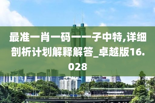 最准一肖一码一一子中特,详细剖析计划解释解答_卓越版16.028