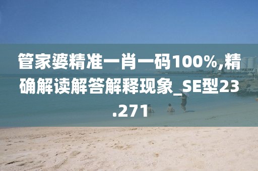 管家婆精准一肖一码100%,精确解读解答解释现象_SE型23.271