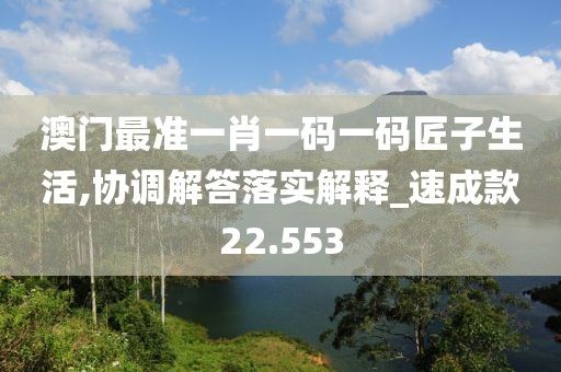 澳门最准一肖一码一码匠子生活,协调解答落实解释_速成款22.553