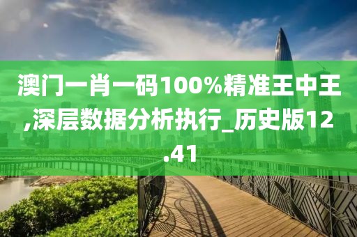 澳门一肖一码100%精准王中王,深层数据分析执行_历史版12.41