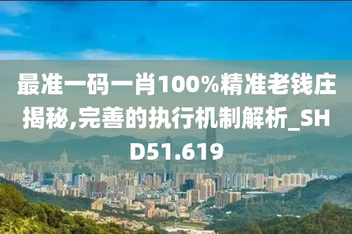 最准一码一肖100%精准老钱庄揭秘,完善的执行机制解析_SHD51.619