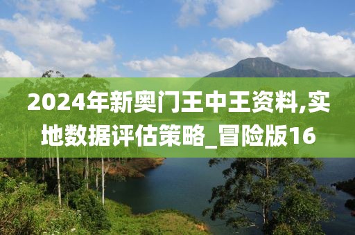 2024年新奥门王中王资料,实地数据评估策略_冒险版16