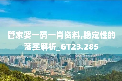 管家婆一码一肖资料,稳定性的落实解析_GT23.285