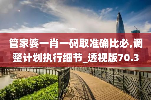 管家婆一肖一码取准确比必,调整计划执行细节_透视版70.3