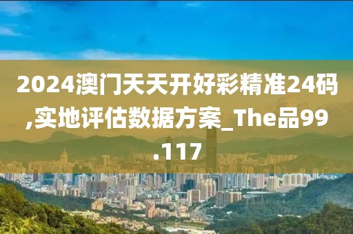 2024澳门天天开好彩精准24码,实地评估数据方案_The品99.117
