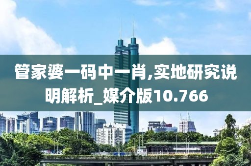 管家婆一码中一肖,实地研究说明解析_媒介版10.766