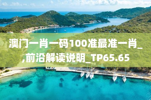 澳门一肖一码100准最准一肖_,前沿解读说明_TP65.65