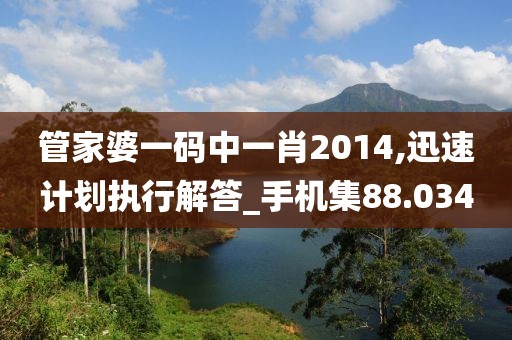 管家婆一码中一肖2014,迅速计划执行解答_手机集88.034