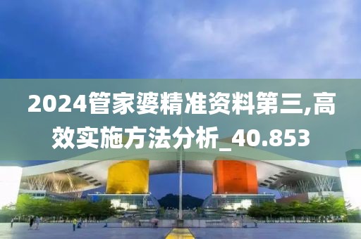 2024管家婆精准资料第三,高效实施方法分析_40.853