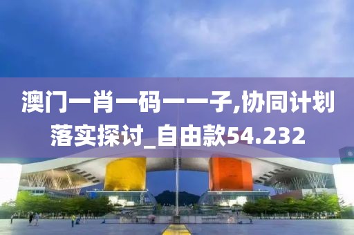 澳门一肖一码一一子,协同计划落实探讨_自由款54.232