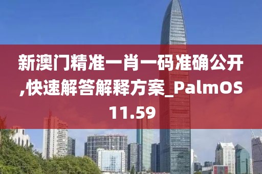 新澳门精准一肖一码准确公开,快速解答解释方案_PalmOS11.59