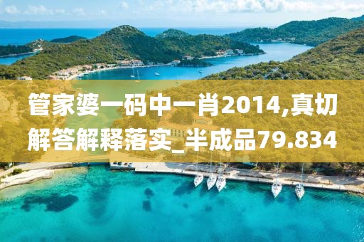 管家婆一码中一肖2014,真切解答解释落实_半成品79.834