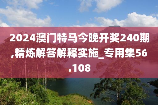 2024澳门特马今晚开奖240期,精炼解答解释实施_专用集56.108