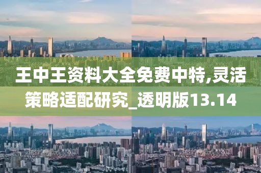 王中王资料大全免费中特,灵活策略适配研究_透明版13.14