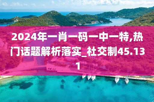2024年一肖一码一中一特,热门话题解析落实_社交制45.131