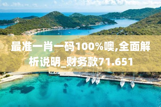 最准一肖一码100%噢,全面解析说明_财务款71.651