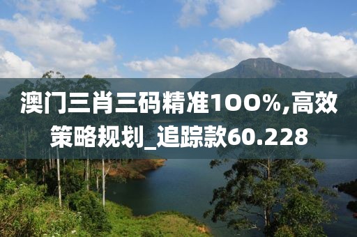 澳门三肖三码精准1OO%,高效策略规划_追踪款60.228
