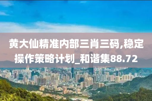 黄大仙精准内部三肖三码,稳定操作策略计划_和谐集88.72