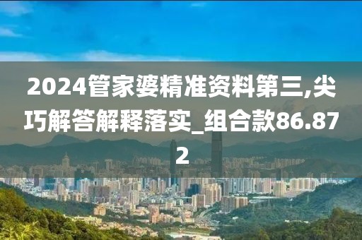 2024管家婆精准资料第三,尖巧解答解释落实_组合款86.872