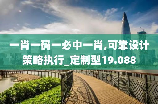一肖一码一必中一肖,可靠设计策略执行_定制型19.088