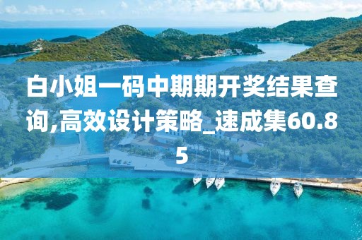 白小姐一码中期期开奖结果查询,高效设计策略_速成集60.85