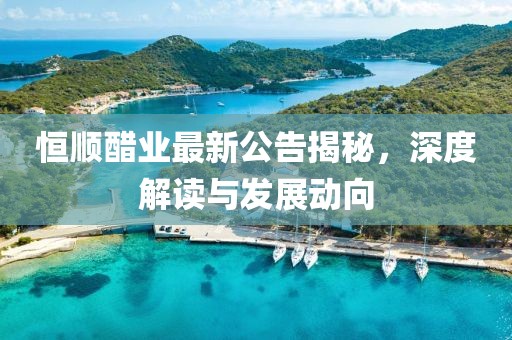 恒顺醋业最新公告揭秘，深度解读与发展动向
