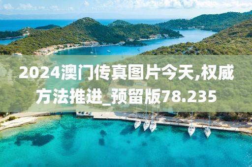 2024澳门传真图片今天,权威方法推进_预留版78.235