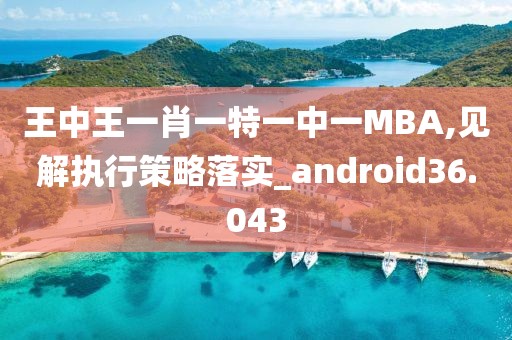 王中王一肖一特一中一MBA,见解执行策略落实_android36.043