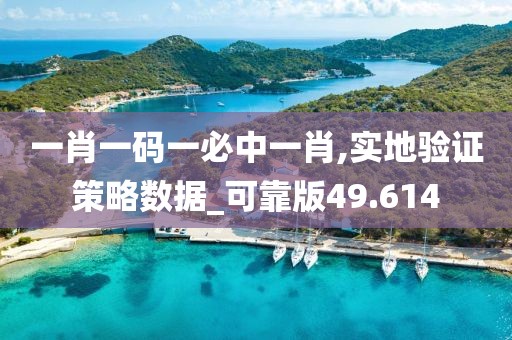 一肖一码一必中一肖,实地验证策略数据_可靠版49.614