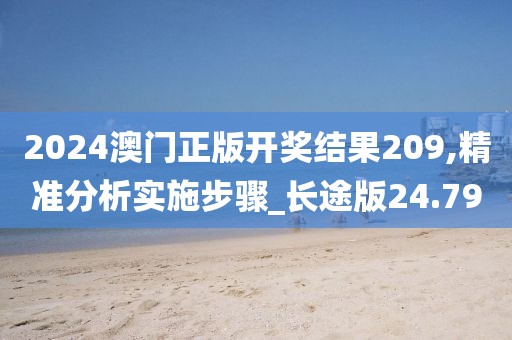 2024澳门正版开奖结果209,精准分析实施步骤_长途版24.79