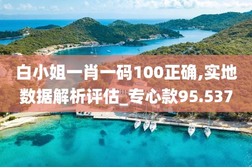 白小姐一肖一码100正确,实地数据解析评估_专心款95.537