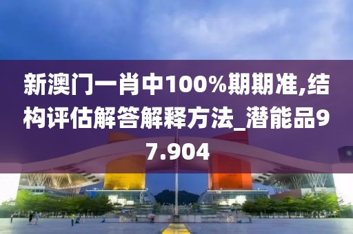 新澳门一肖中100%期期准,结构评估解答解释方法_潜能品97.904