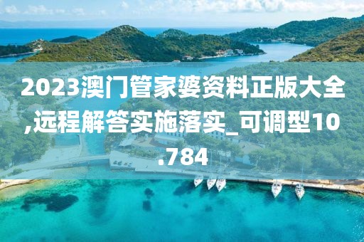 2023澳门管家婆资料正版大全,远程解答实施落实_可调型10.784