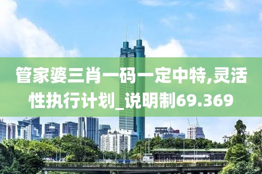 管家婆三肖一码一定中特,灵活性执行计划_说明制69.369