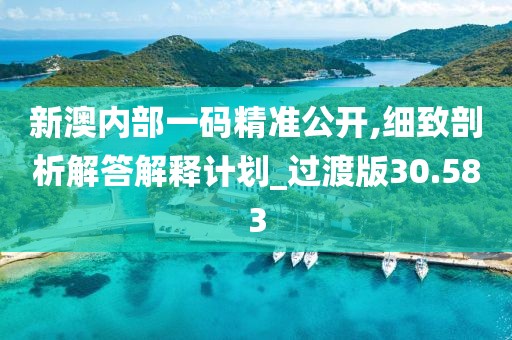 新澳内部一码精准公开,细致剖析解答解释计划_过渡版30.583
