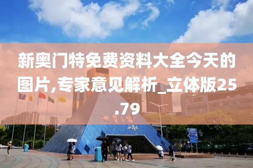 新奥门特免费资料大全今天的图片,专家意见解析_立体版25.79