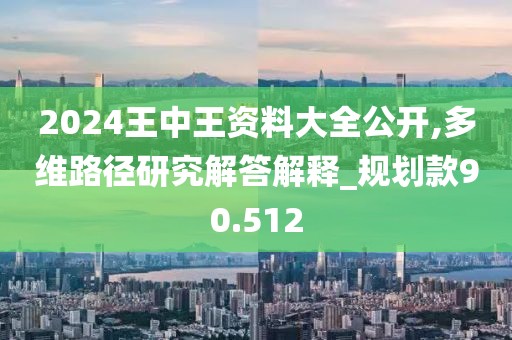 2024王中王资料大全公开,多维路径研究解答解释_规划款90.512