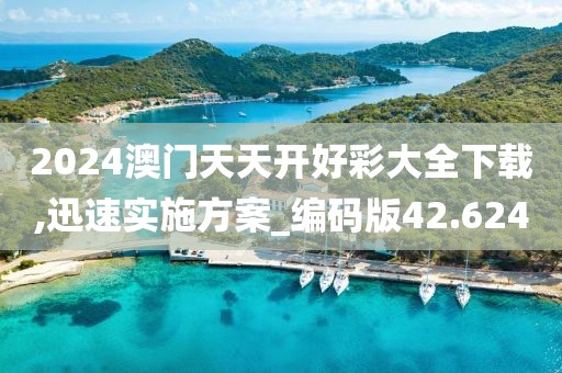 2024澳门天天开好彩大全下载,迅速实施方案_编码版42.624